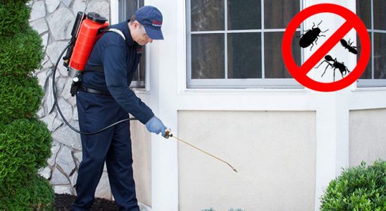 Beşiri Hamam Böceği İlaçlama böcek ilaçlama ve haşere kontrolü — ilaclama-tr.com